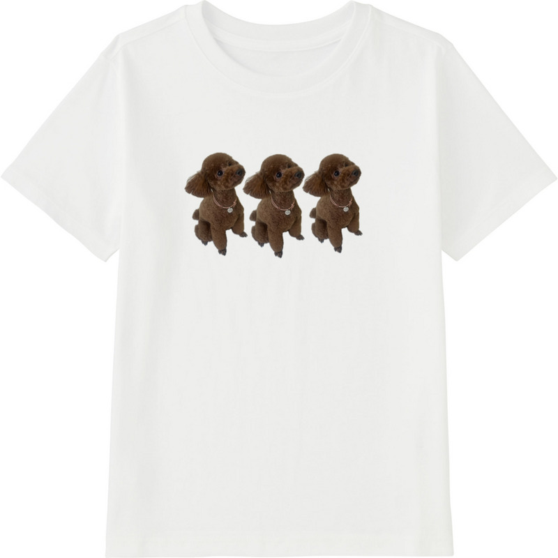 67672927 1db5 43ec 8bb1 0acde3e761be 45 print ll