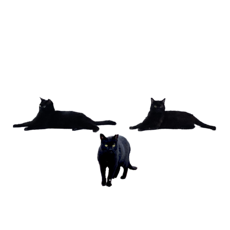 0758e07e fa34 4cab 8d3b 153d2143e01e s