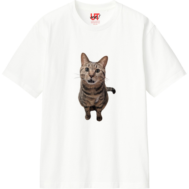 Baf7463b 2393 4a47 a0cd 2fd46f72848e 110 print ll