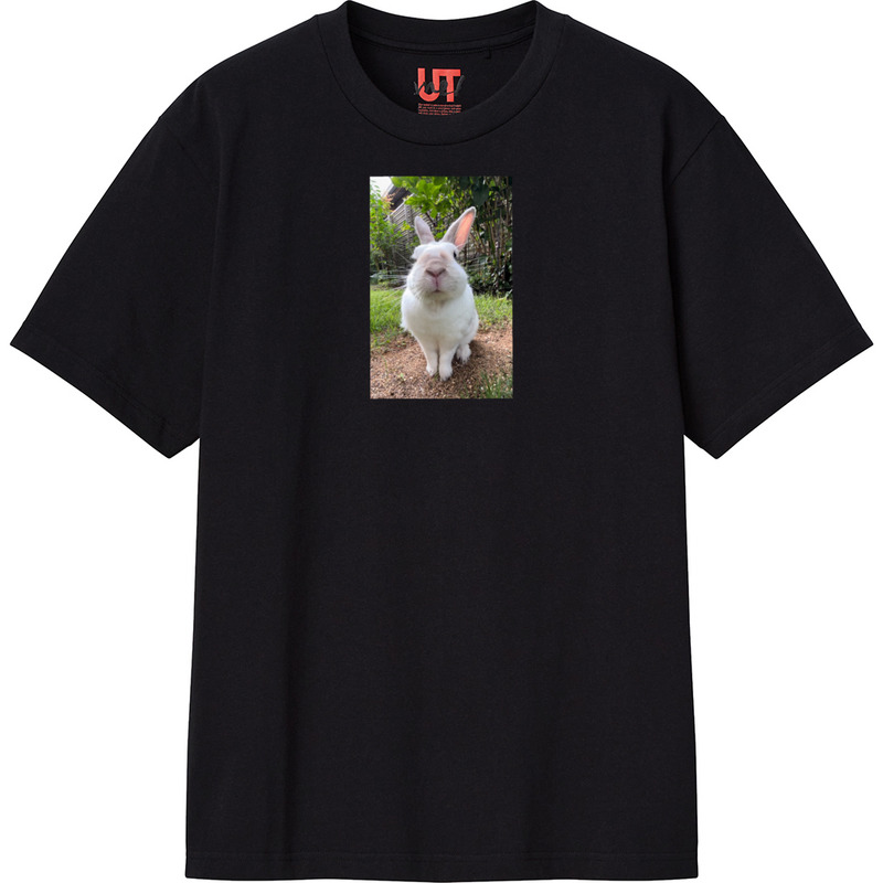 79b6eda4 c8f6 49cb 8f70 5a3fd3e002ad 111 print ll