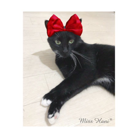 4f247b42 45e9 4cc5 8604 7674d12ba25f s