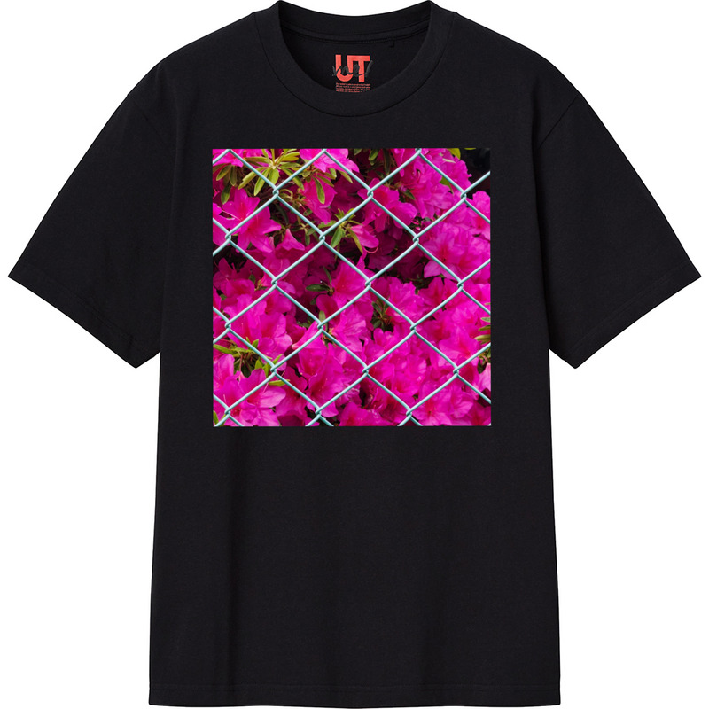 C3f38d39 0f18 48f6 b855 670e79da7ec9 111 print ll