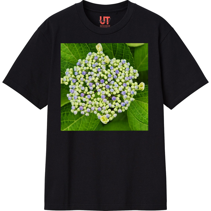 6dc47a9a 8b0f 4339 8f4c f1743ec20fb1 111 print ll