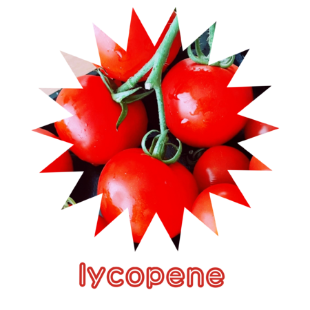 96c76624 20f4 4133 9305 f67f7e6b6ae4 s