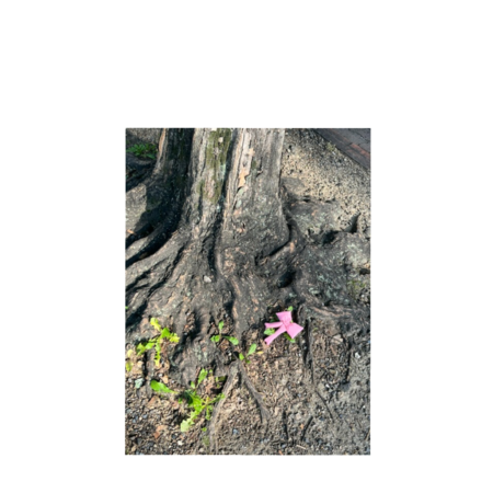 02394a86 97c0 46fa beea 75a32fcb6c67 s