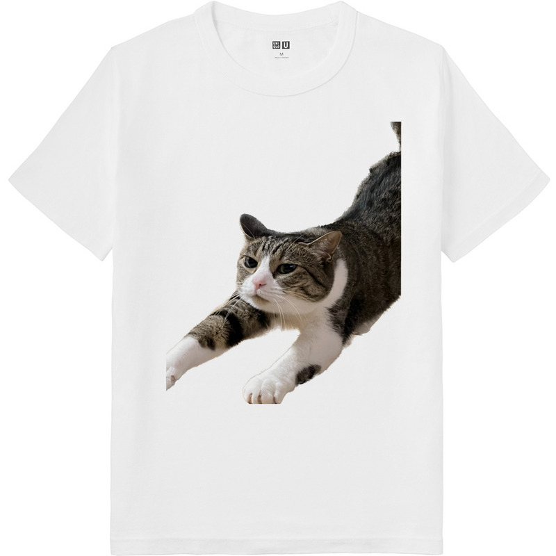 D88ea610 d6f4 48ee a1cc ae5018e3579e 64 print ll