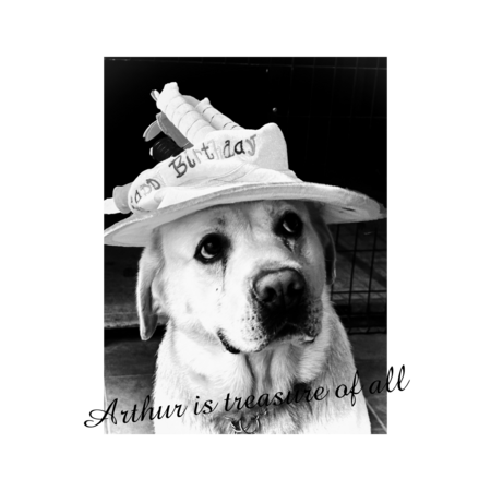 F0086293 c86f 48d8 8589 7e516c690043 s