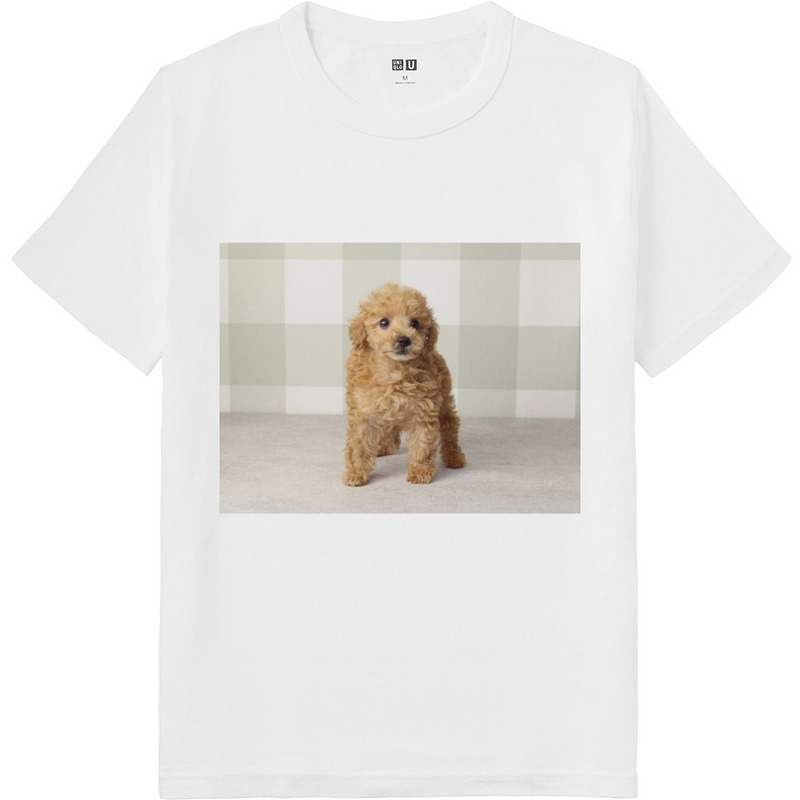 F946e1c9 7b74 4056 abf8 02234a4701f2 64 print ll