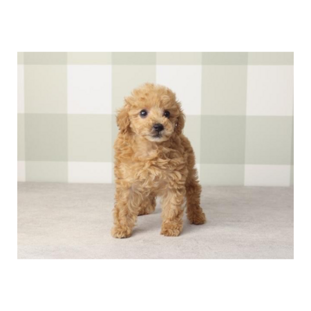 F946e1c9 7b74 4056 abf8 02234a4701f2 s