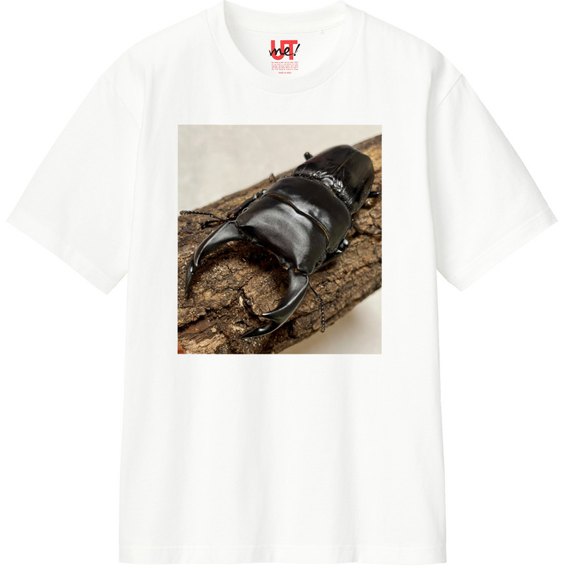 Ebd2704a 0f20 44f4 a9f6 e0deba2f76b5 110 print ll