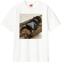 Ebd2704a 0f20 44f4 a9f6 e0deba2f76b5 110 print s