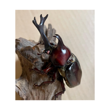 8384f516 0596 4a43 a65a 33decc571a3b s