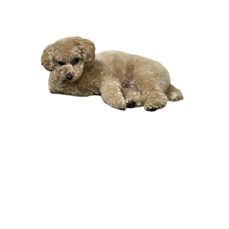 F6c0e637 d51d 4130 814a 81895a7f2bcc s