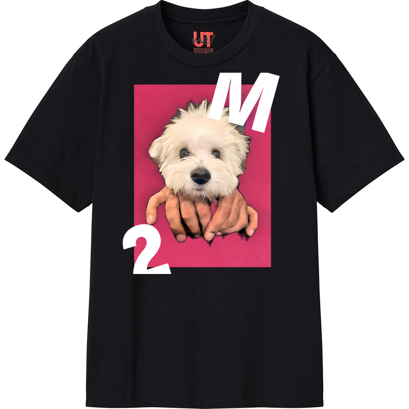 24c4767d b17f 4851 865b d8819835f358 111 print ll