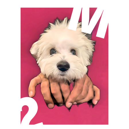 24c4767d b17f 4851 865b d8819835f358 s