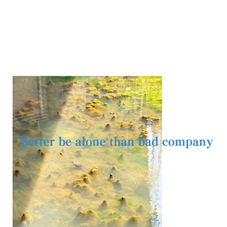 0161880c 8bf0 4b70 b18e 6d61b75bca27 s