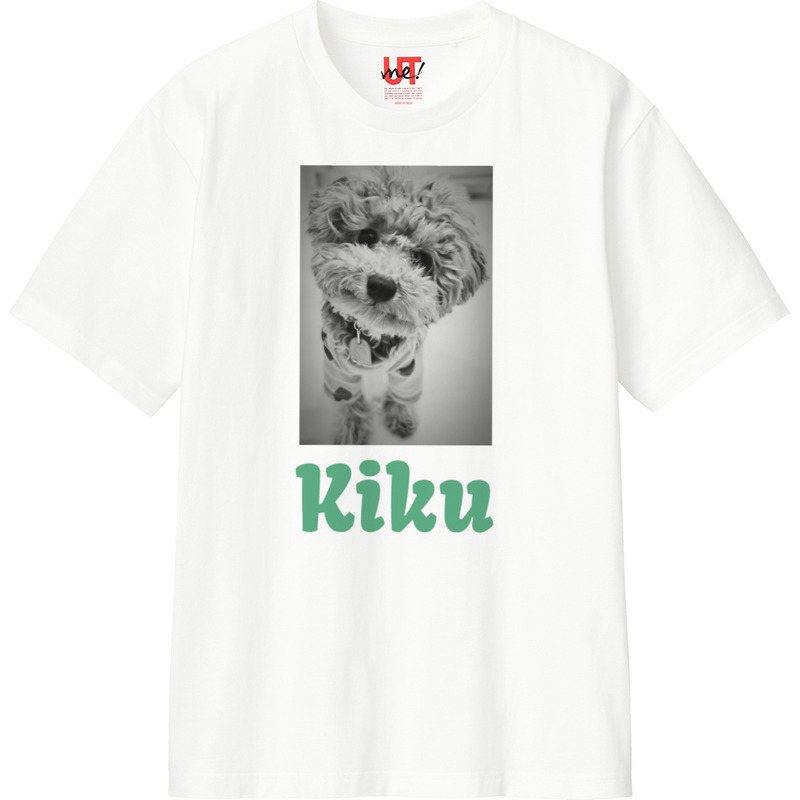 6b2a5598 d645 4f31 afaf 8dcb74519171 110 print ll