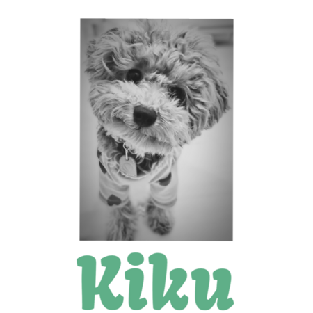 6b2a5598 d645 4f31 afaf 8dcb74519171 s