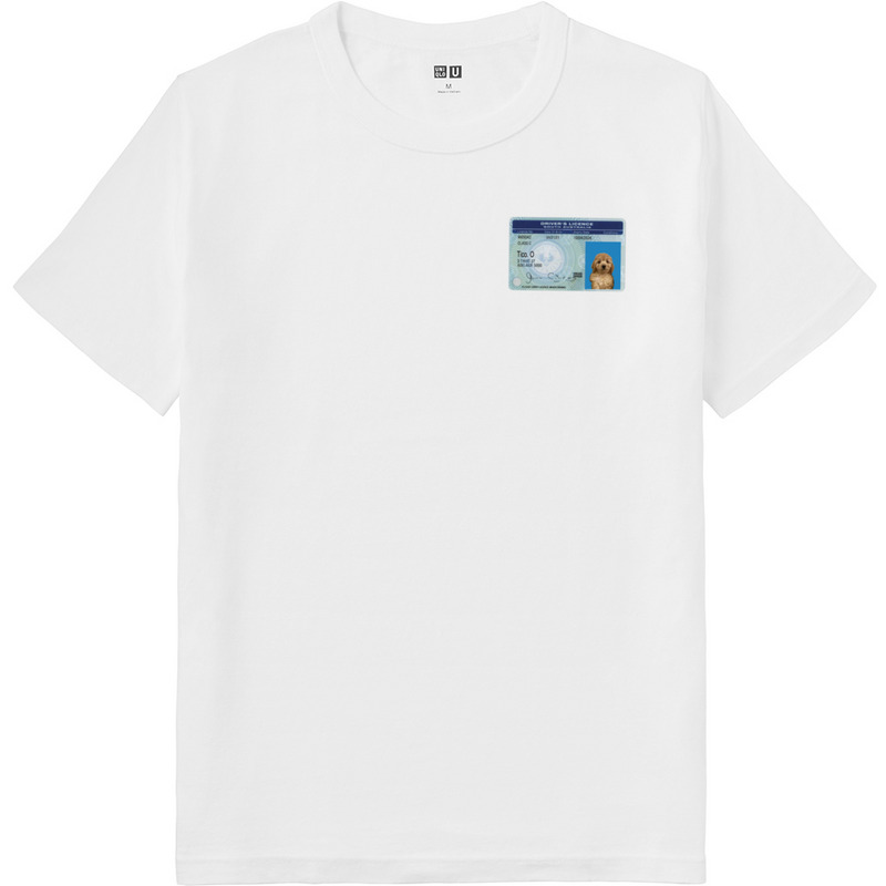 D267c3ab 0df8 4bae 96a1 e6743b74d26c 64 print ll