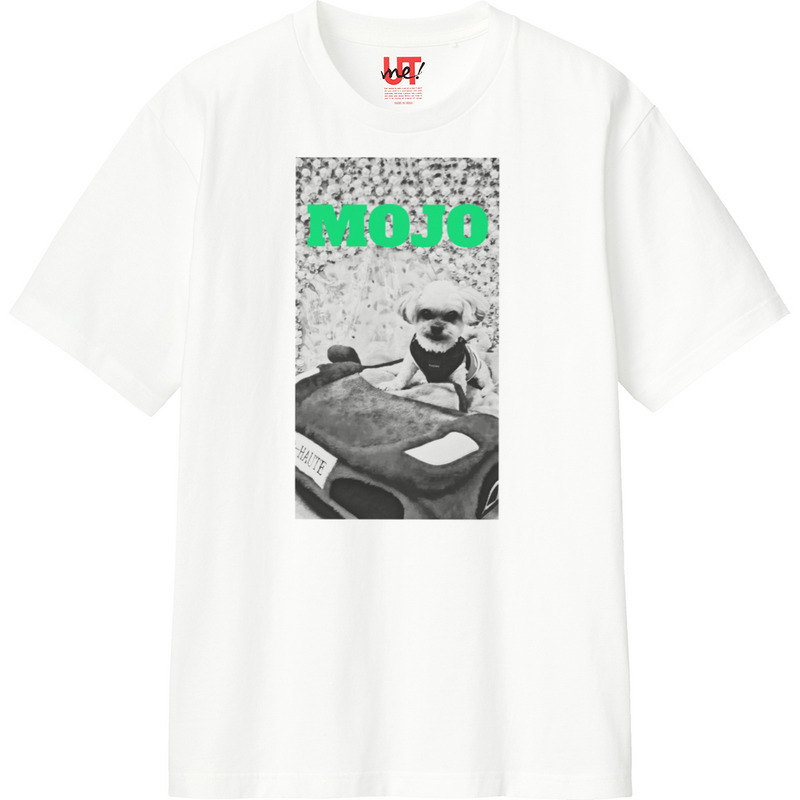 960b13a5 fde7 4575 a627 1219fd7edeb3 110 print ll