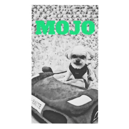 960b13a5 fde7 4575 a627 1219fd7edeb3 s