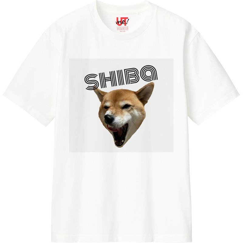 Ec0b94d7 d4f1 42be b90e 099fbb6eca06 110 print ll