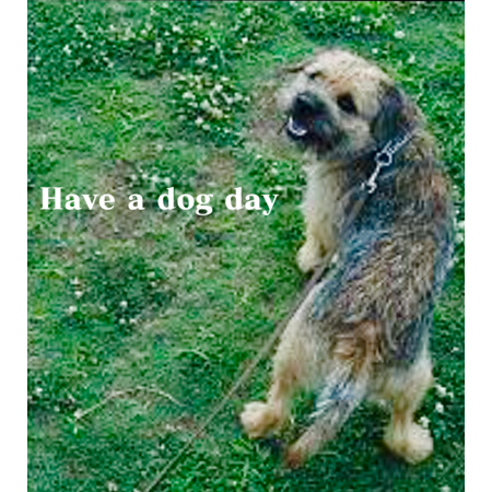 27d01767 2bd6 466b 9dfb a2407a6d165f s