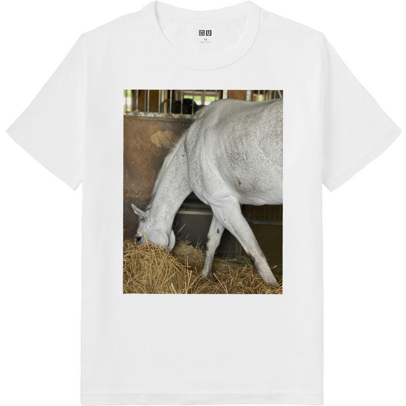 4bdad042 9f60 44d2 9d4e 5c9ebbce8c42 64 print ll