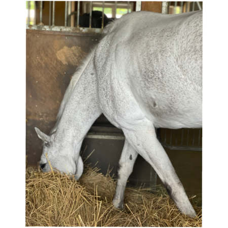 4bdad042 9f60 44d2 9d4e 5c9ebbce8c42 s