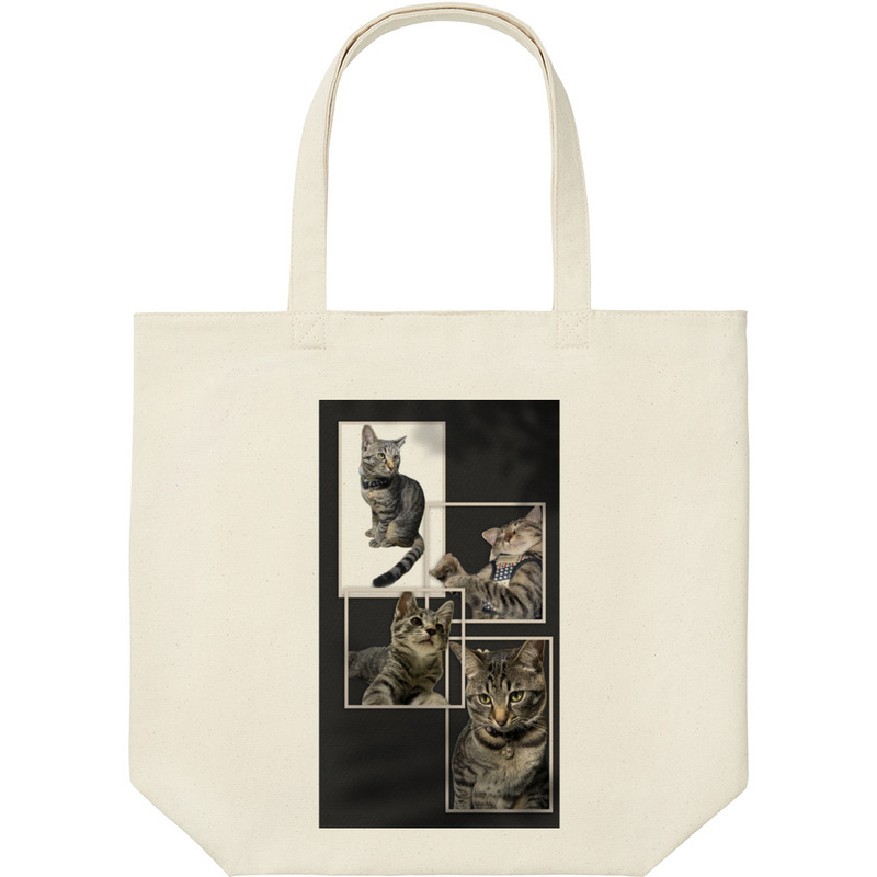 Ca36162c 29b5 4319 90cc 54e6517b0623 9 print ll