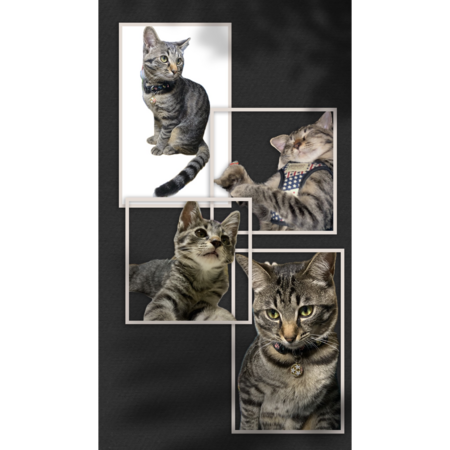 Ca36162c 29b5 4319 90cc 54e6517b0623 s