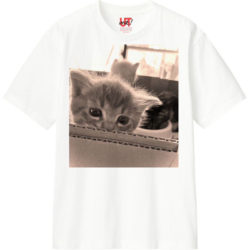 B4143d8c afd0 475d b914 9e582056d487 110 print ll