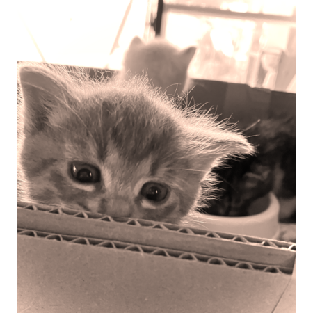 B4143d8c afd0 475d b914 9e582056d487 s