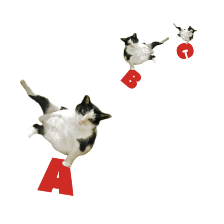 89206d97 ca44 4551 9681 2c6371143364 s