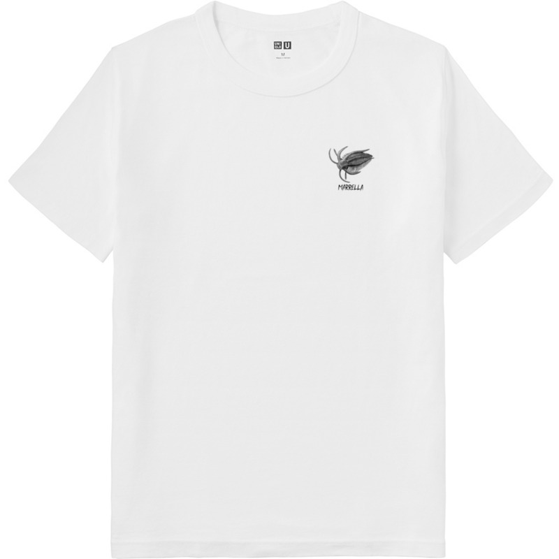 64f1e33c 7d0b 4ebc 996f c460ebc30c2e 64 print ll