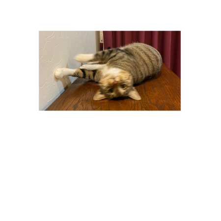 6afe60da 02f1 48a6 9f5a 04458087d754 s