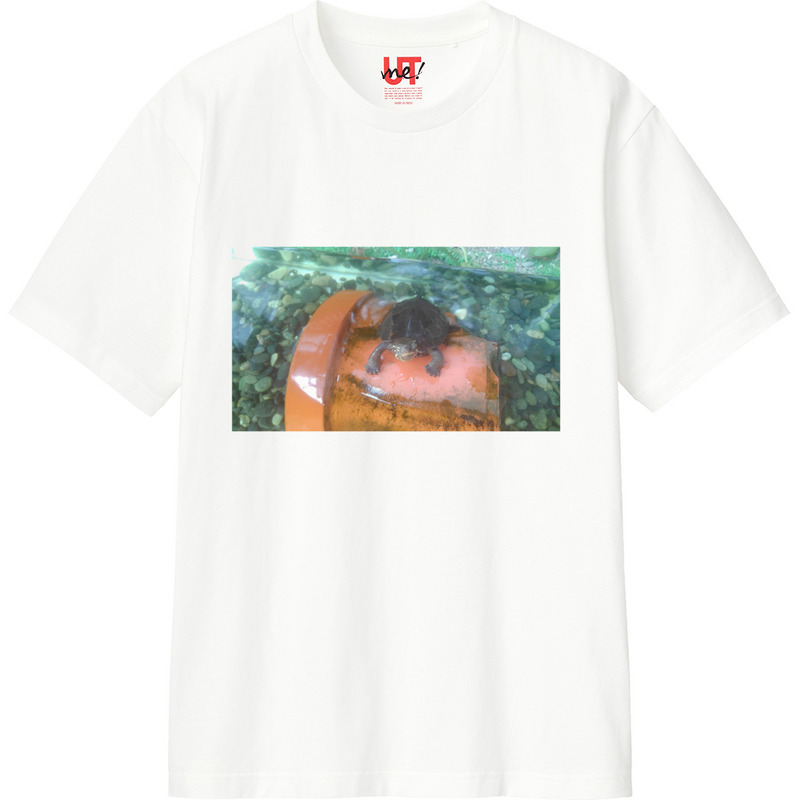 13c6a241 8ea0 4cc1 8eb8 233098f18efe 110 print ll