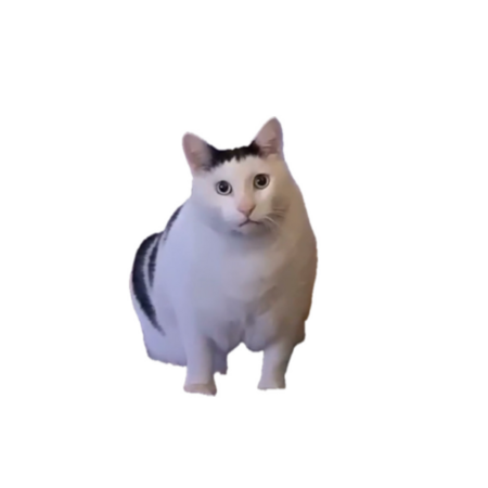 442aaee4 8ddc 4b2a aaa2 303197fa74ee s