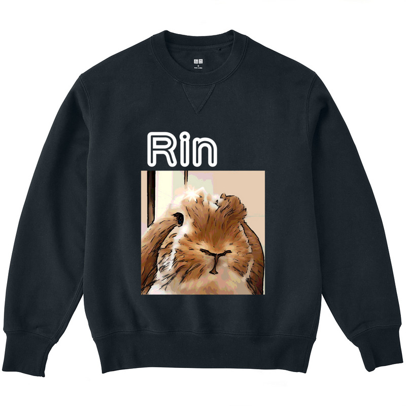 8a1b0c74 46dd 4b9f 9bb0 2cf8e86be370 3 print ll