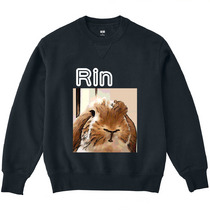 8a1b0c74 46dd 4b9f 9bb0 2cf8e86be370 3 print s