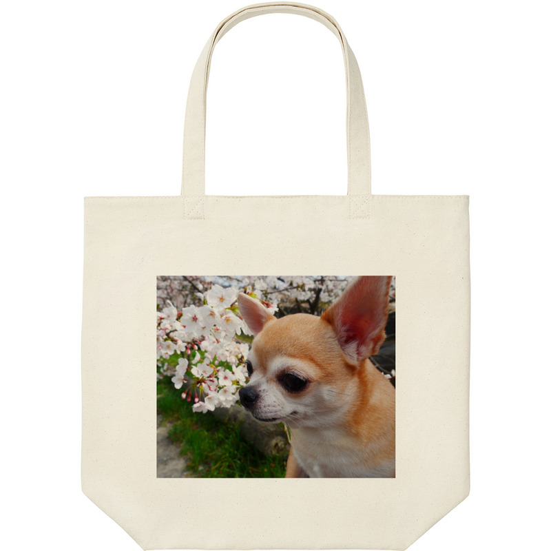 0a2e98aa 094f 4bc8 a704 bce1c1eed1e6 9 print ll