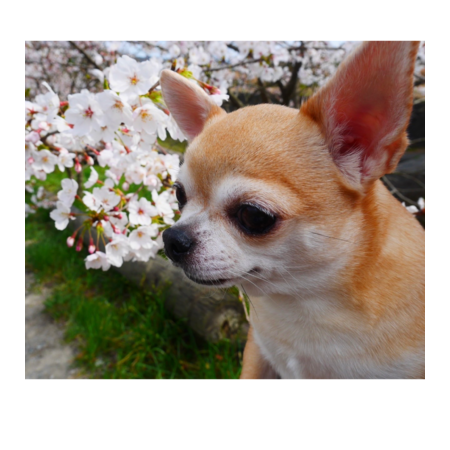 0a2e98aa 094f 4bc8 a704 bce1c1eed1e6 s