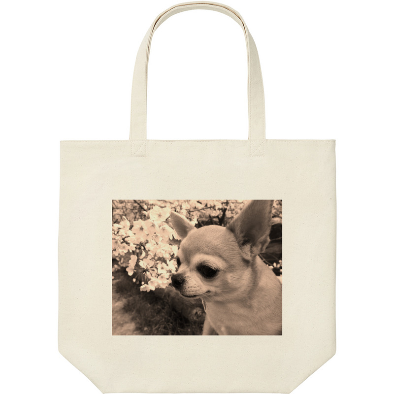 2dca910e 13d9 40d2 96e5 26a88ecb98a0 9 print ll