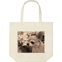 2dca910e 13d9 40d2 96e5 26a88ecb98a0 9 print s