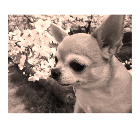 2dca910e 13d9 40d2 96e5 26a88ecb98a0 s