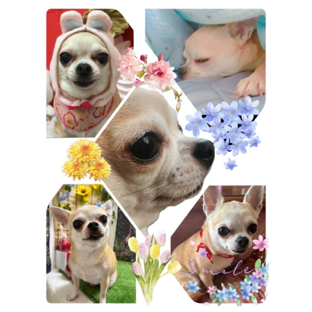 E7ad1cbf 7d46 45ff b7ac 26d0b0587a4f s