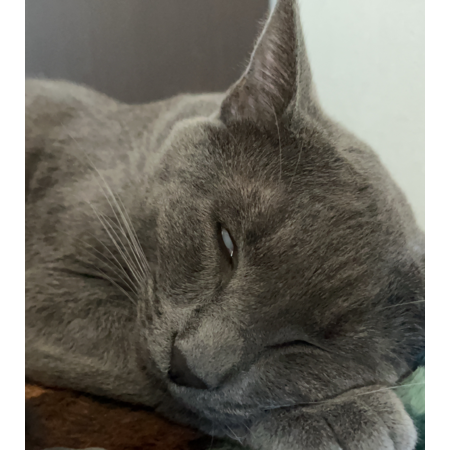 E06ed71f 8ba7 42d5 8f8b 0e240a1e7010 s