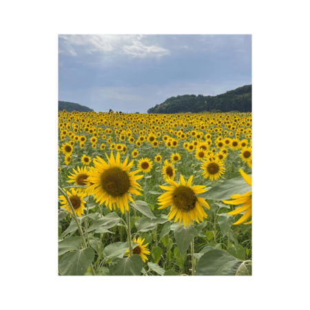 792c4e03 a21a 4c20 a4c8 e3dbd2568b09 s