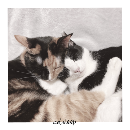 7afac08a a10f 4d09 8d01 1fcc0520e40e s