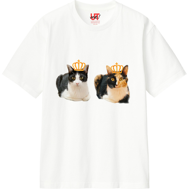 D8c0fd66 6a95 4ed2 b32c 12f80b4ca570 110 print ll